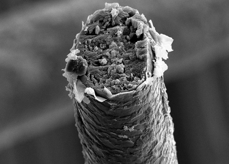 human hair with cuticle