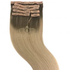 Bergwn Blonde Clip In Hair Extensions